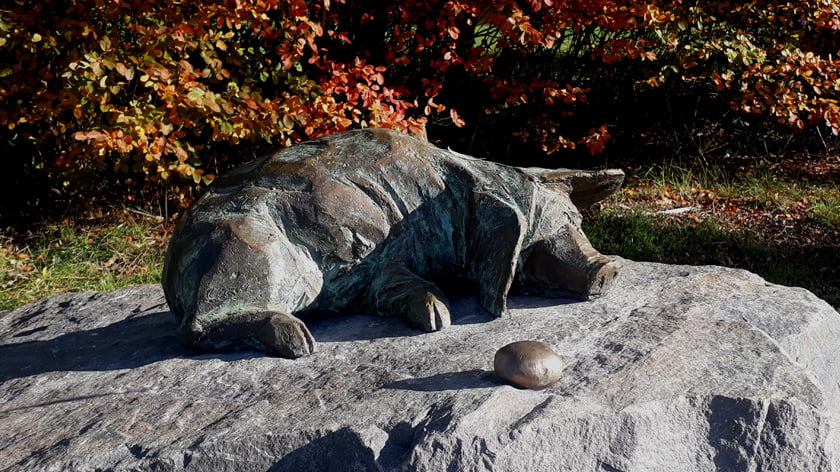 Hemlängtan av Carl G Torstensson, finns på Brandholmen. Konstverk av en gris som ligger på ett berg och tittar på  en gyllene potatis