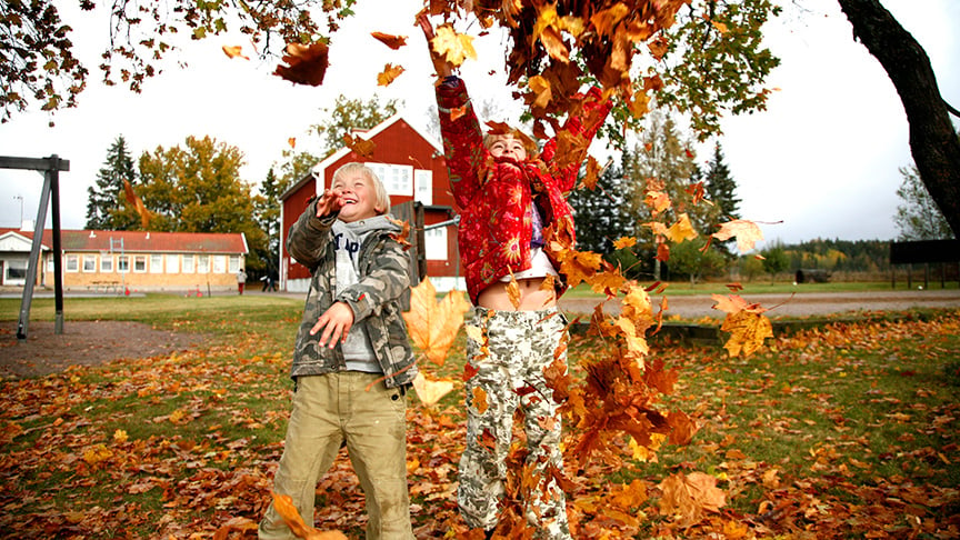 Barn som kastar upp löv