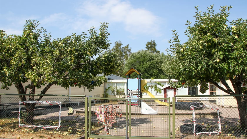 Förskolans byggnad ,grind in till förskolan två stora träd och en gul byggnad