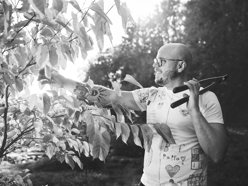 David klipper ett träd vid Bränn-Ekeby